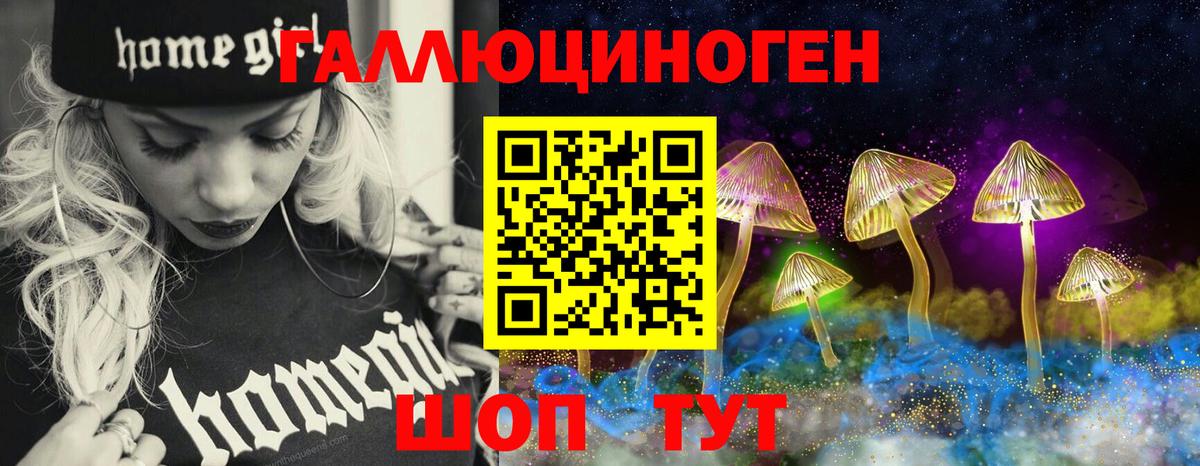 Сокол  Галлюциногенные грибы Psilocybine cubensis  что такое   Вход с VPN 